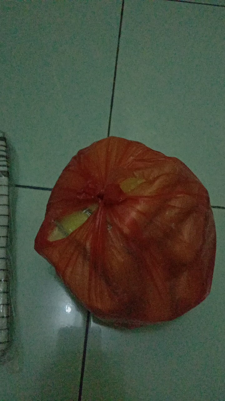 Spon / Busa Spon / Spon Piring / Spon Cuci Piring