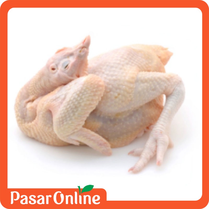 

Ayam Broiler FRESH - Utuh - 900 gr - 1 kg