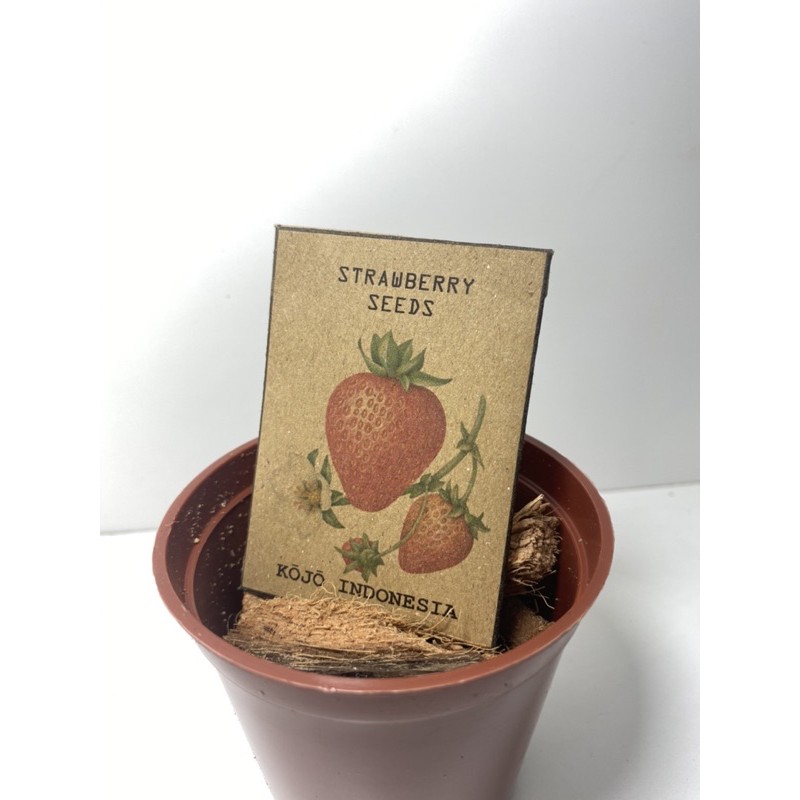 Seed Packet Envelove / Paket Bibit Amplop Buah Sayur Bunga