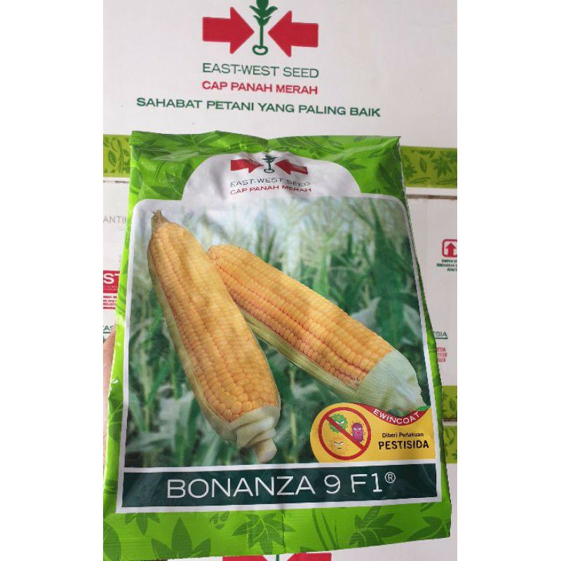 Benih Jagung Manis Bonanza 9 F1 (1800 butir)