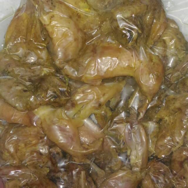 Burung Puyuh Presto Shopee Indonesia