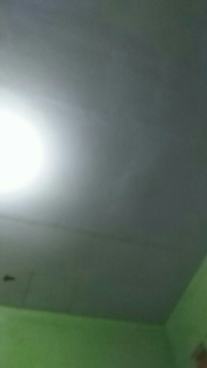 Alat Mata Nanas Stainless Steel / Pengambil Mata Nanas