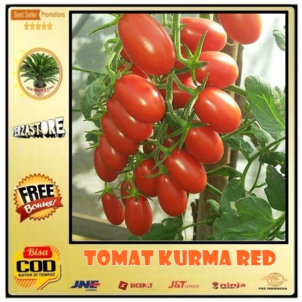 Jual Biji Benih Buah Tomat Cherry Kurma F Hibrida Red Super Biji