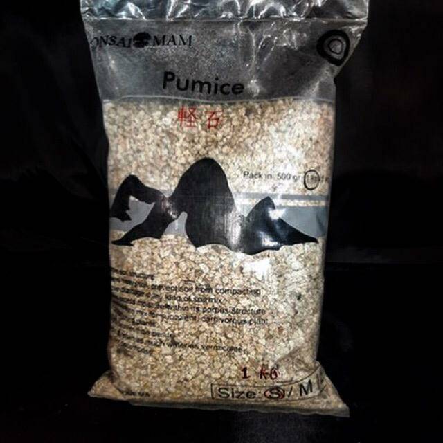 Batu Apung Media Tanam Kaktus dan Sukulen (PUMICE)