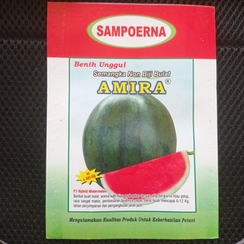 Benih semangka non biji bulat