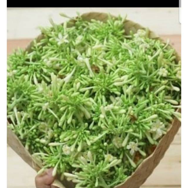 

Kembang Kates/Pepaya 500gr