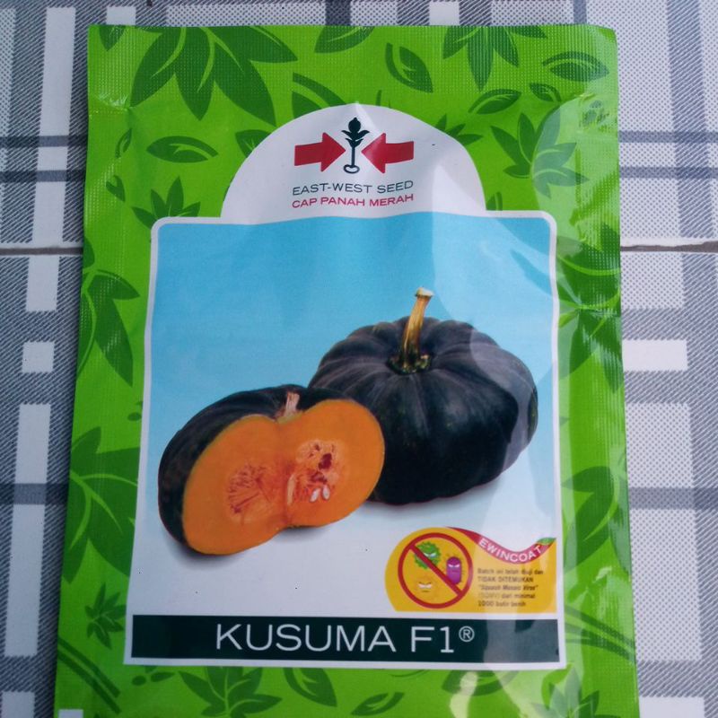 benih labu, cap panah merah