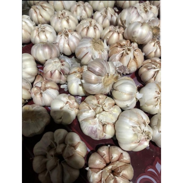 

BAWANG PUTIH REGULAR