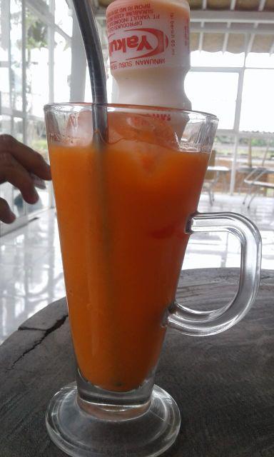 Tali Jemuran Lipat Jemuran Baju Jemuran Handuk Hanger Jilbab Hanger Baju Gantungan Baju 047