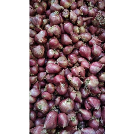 

Bawang Merah Lokal Kemasan 1kg