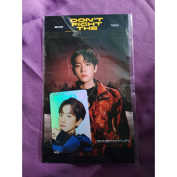 exo md holo standee baekhyun dftf