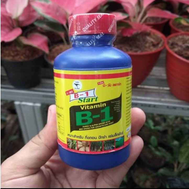 GP Vitamin B1 Start ORI 100% Thailand (100 ml)