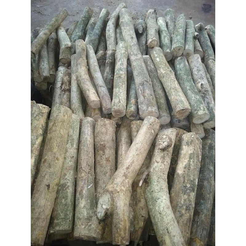 kayu kopi kering media tanam anggrek