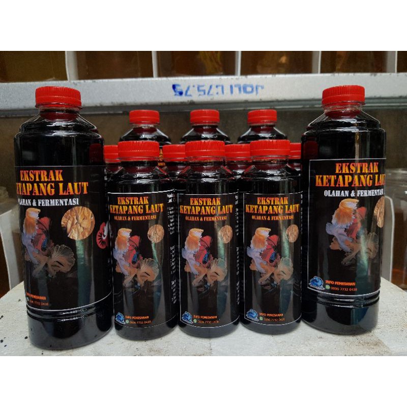 

Ekstrak Ketapang Laut Olahan Full Vitamin 500ml