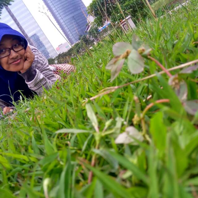 may_hida