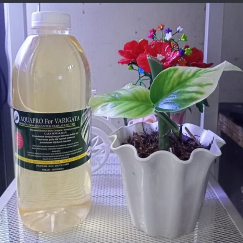 Aquapro for varigata 1kg, hormon tanaman varigata