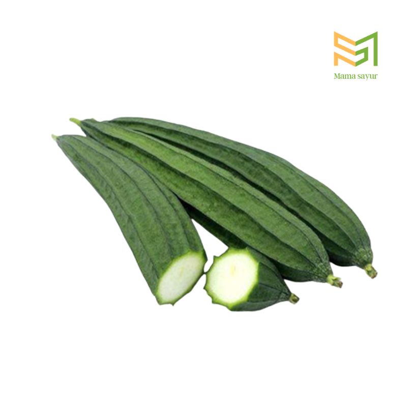 

Gambas | oyong segar per buah