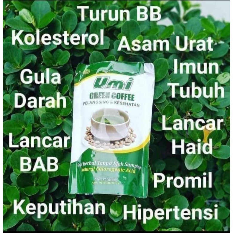 

Umi Green Coffee