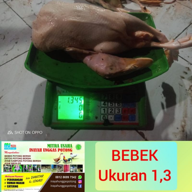 

BEBEK POTONG BERSIH (ukuran 1,3kg)