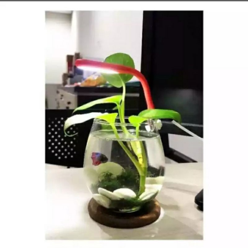 lampu led usb soliter cupang lampu led usb mini aquarium dan aquascape lampu led sikat