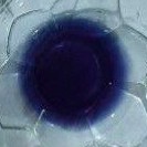Image of Blue butterfly pea powder 10gr #1