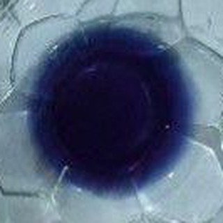 Image of thu nhỏ Blue butterfly pea powder 10gr #1