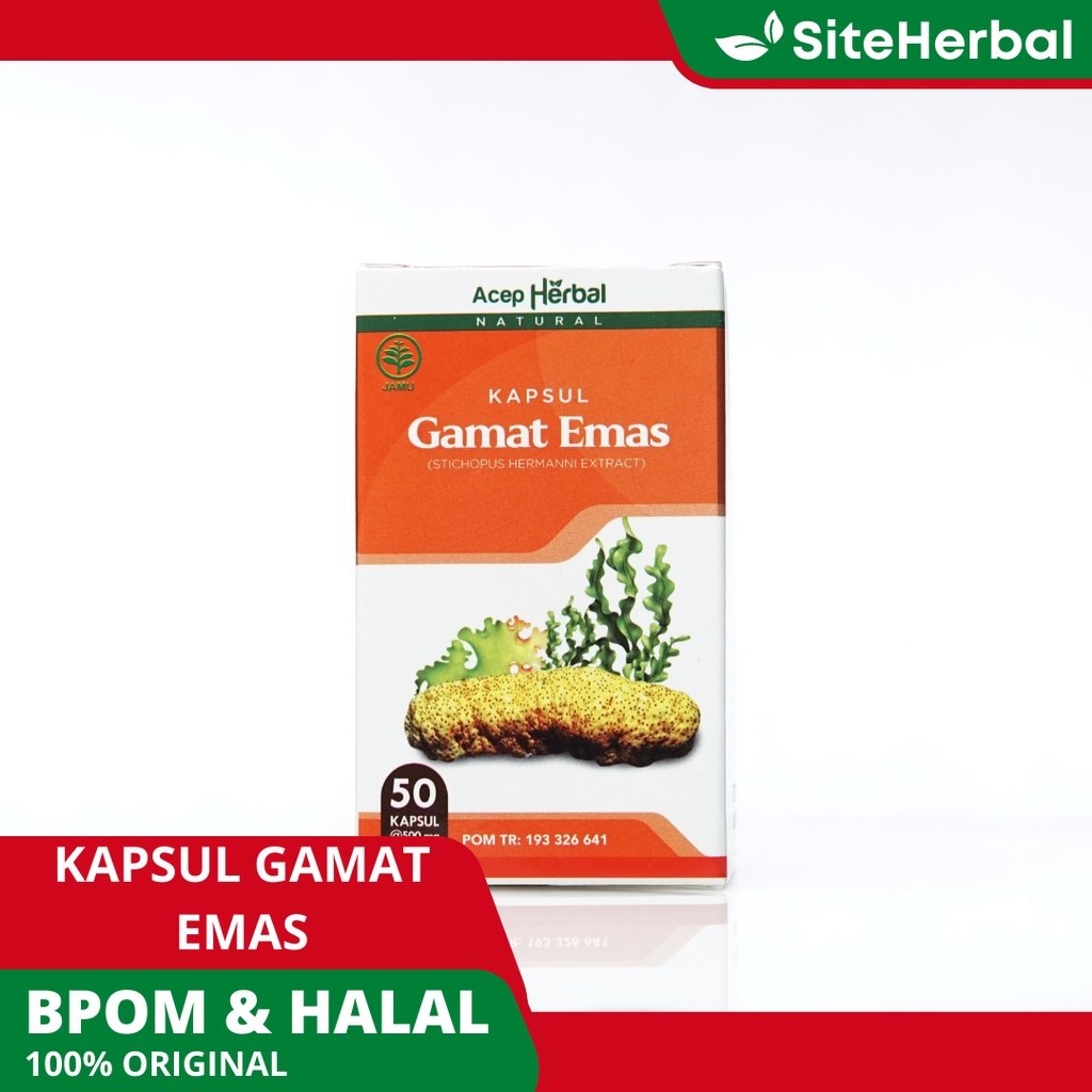 Jual Kapsul Gamat Emas Kapsul Obat Saraf Kejepit Obat Syaraf