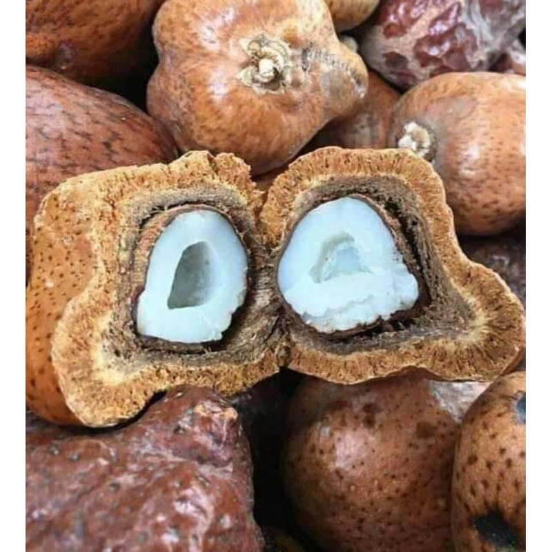 

Buah Zuriat 1kg