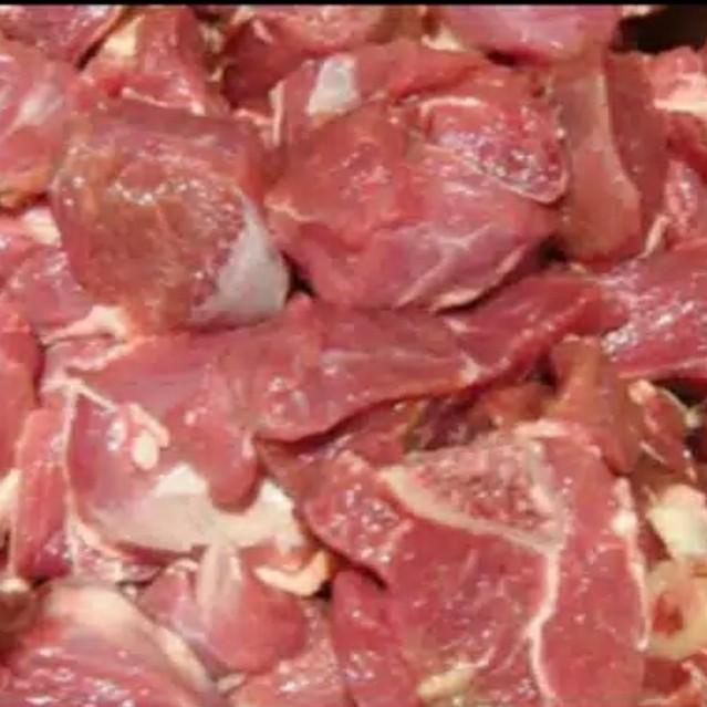 

Meat | Daging Kambing Fresh Segar