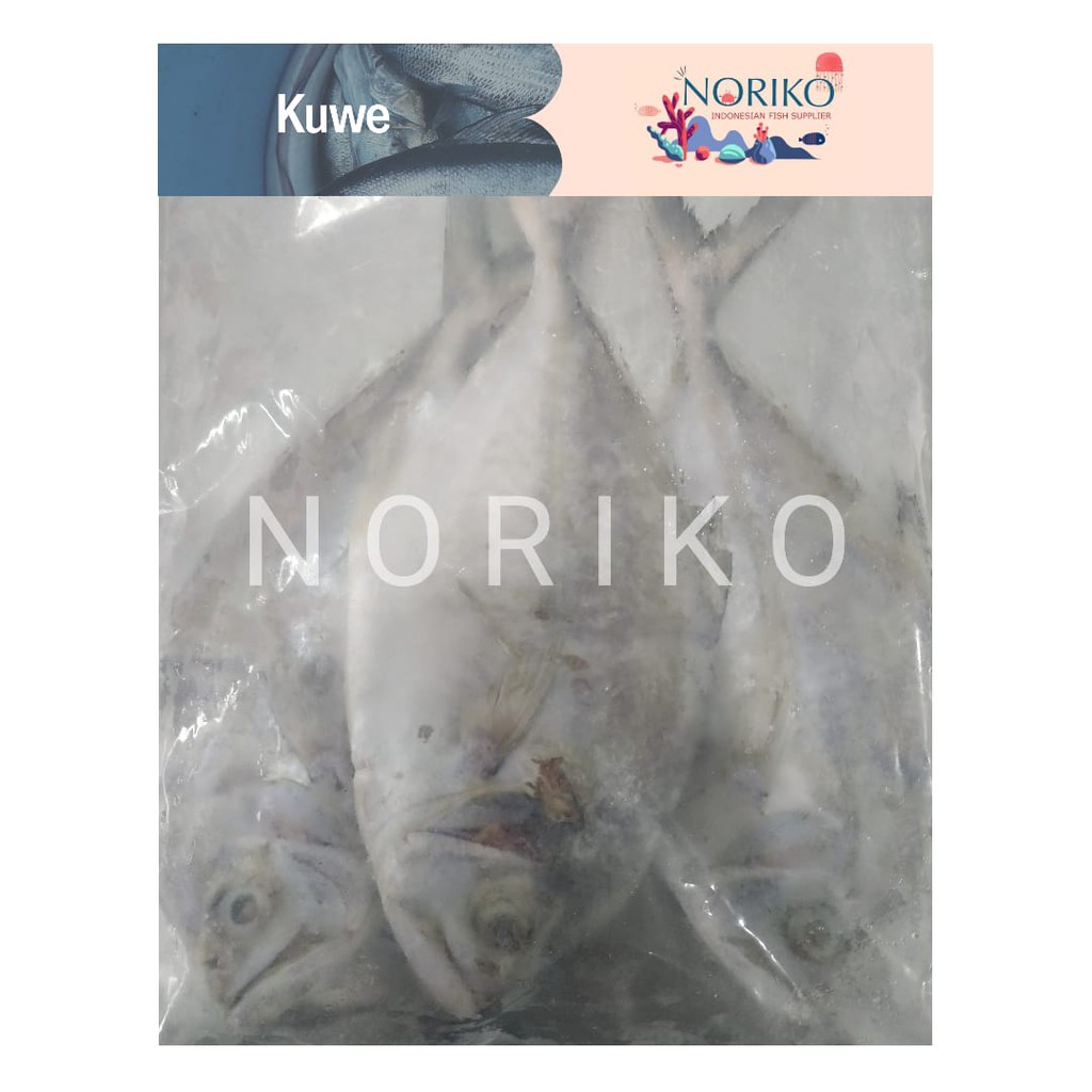 

Ikan Kuwe Frozen Premium 1 Kg