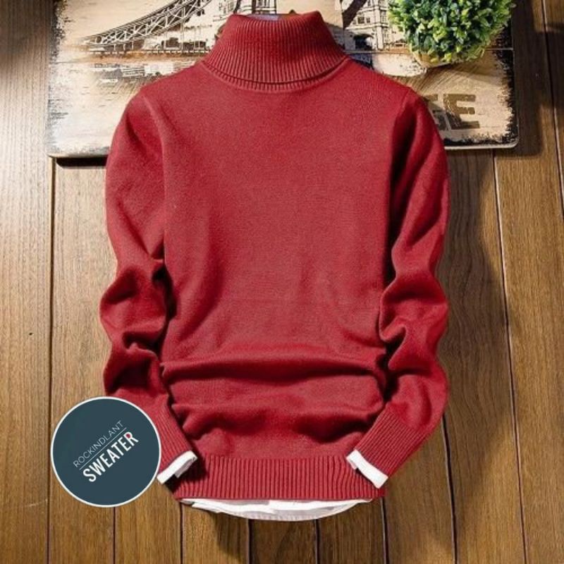 Sweater Turtleneck pria