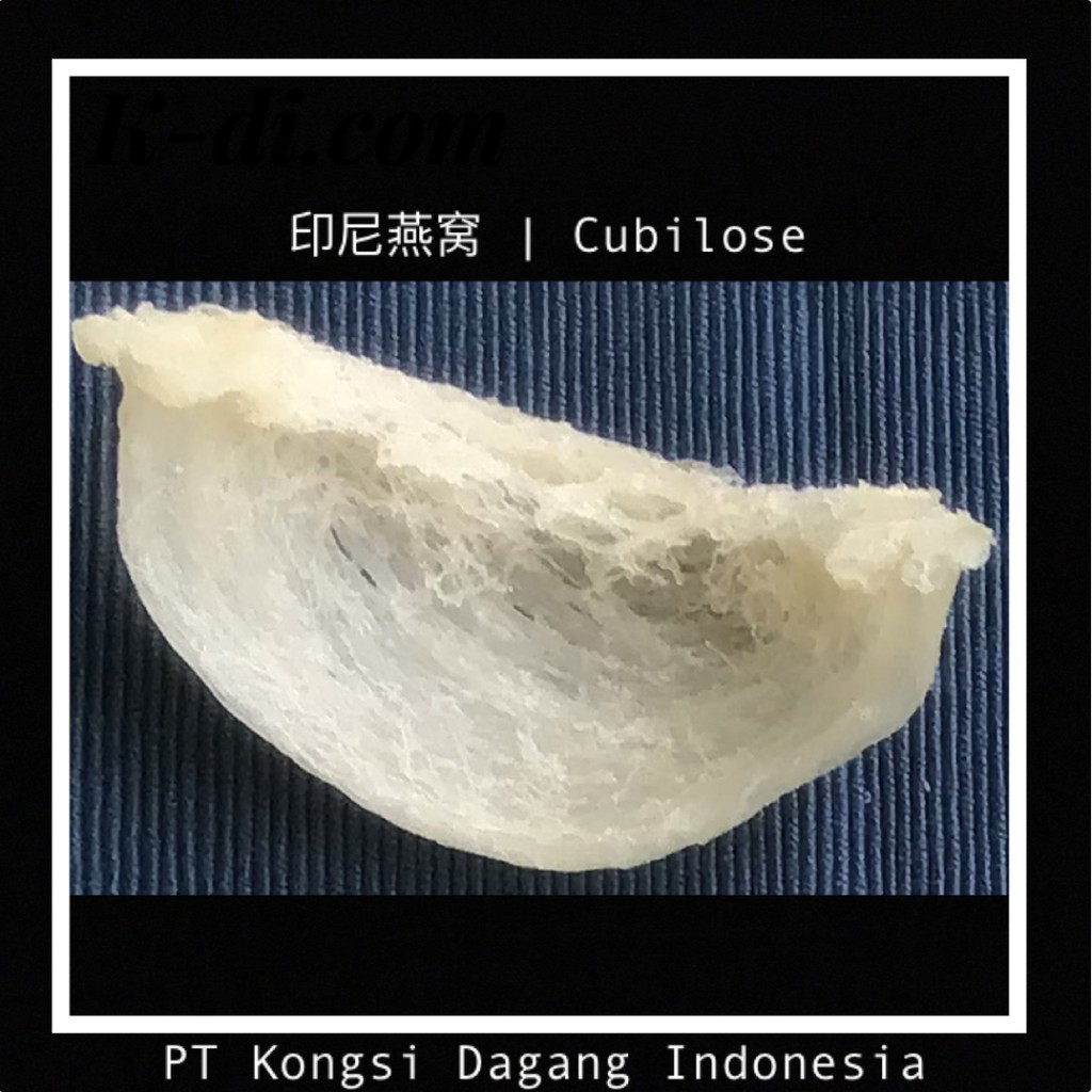 

印尼 燕窝 | Cubilose | Sarang Walet | Bird's Nest (1 pcs)