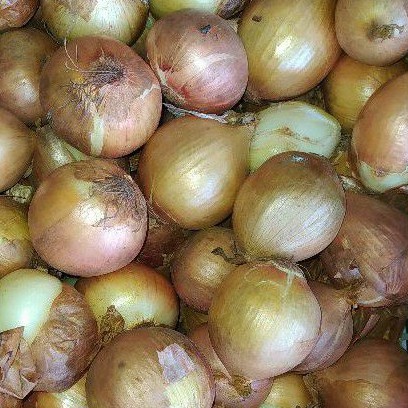 

Bawang Bombay