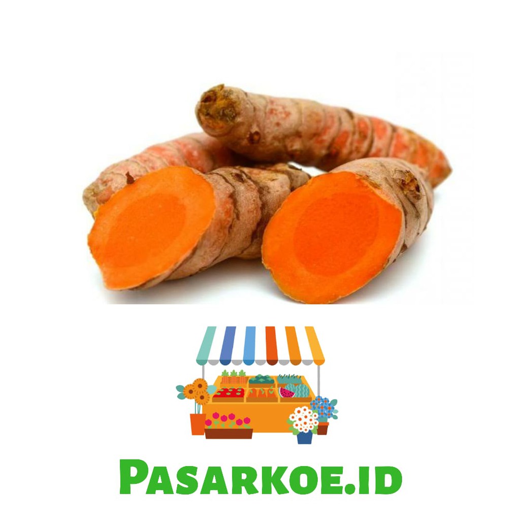 

KUNYIT FRESH 250 GRAM