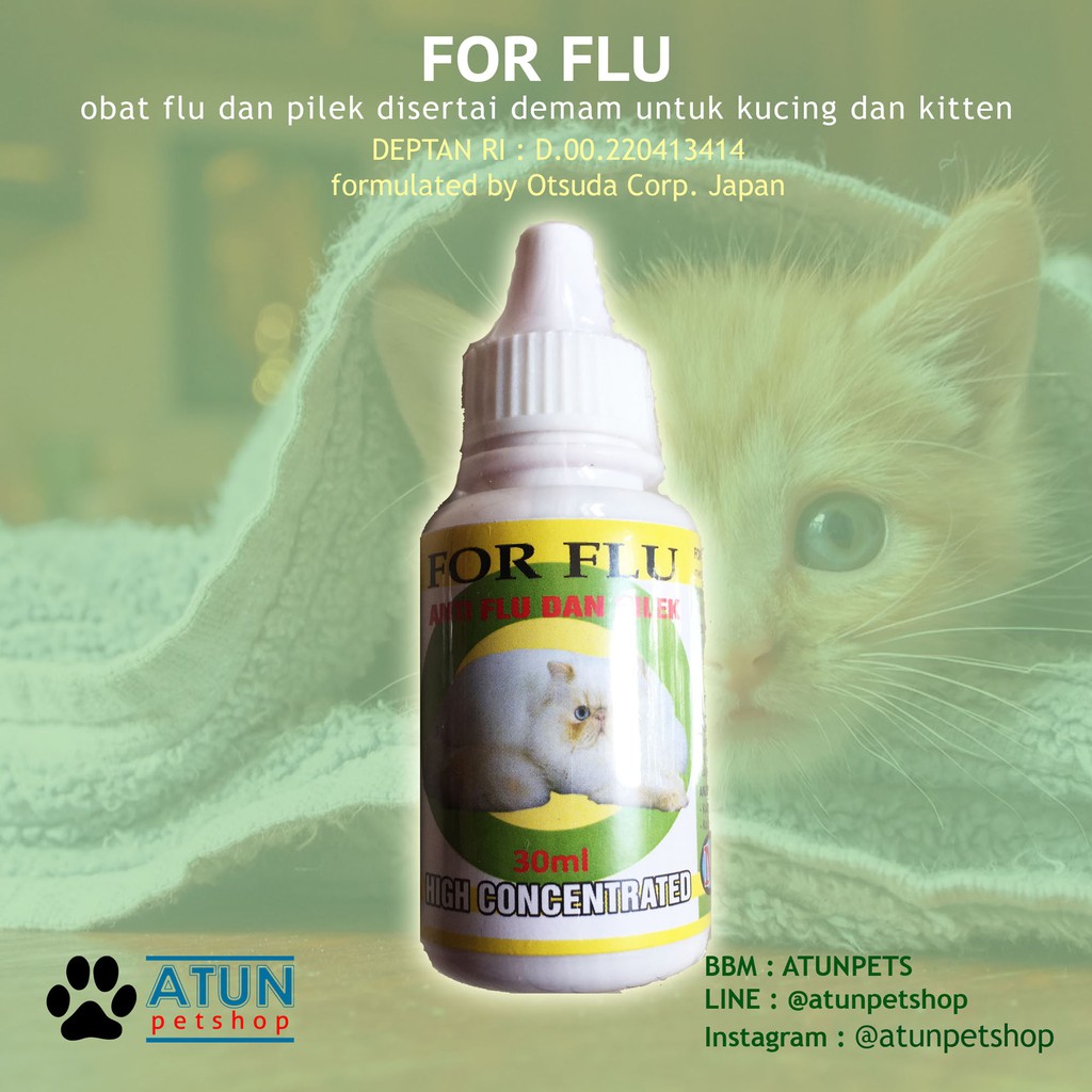 Obat Kucing Flu Pilek Bersin Demam For Flu Batuk Aman Buat Kitten Indonesia