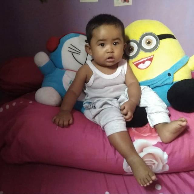 alapalap27