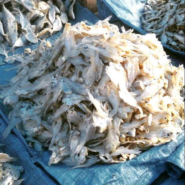 

Ikan asin belah / tipis / garing