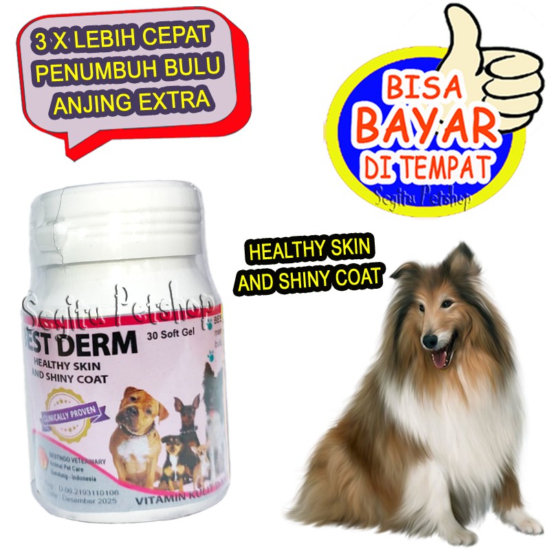 VITAMIN BULU ANJING RONTOK PENUMBUH PELEBAT RAMBUT PUPPY BEST DERM DOG