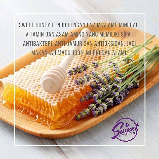 

Madu Asli Honeycomb 500 gr