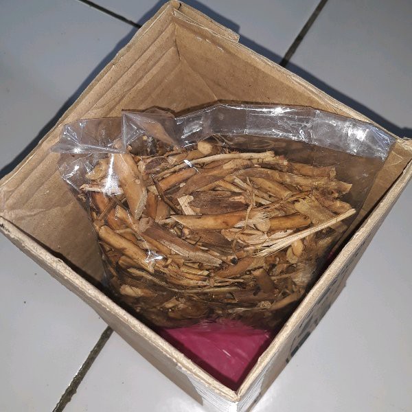 Ready Akar Pinang Kering 1 Kg - GRATIS Pinang kering