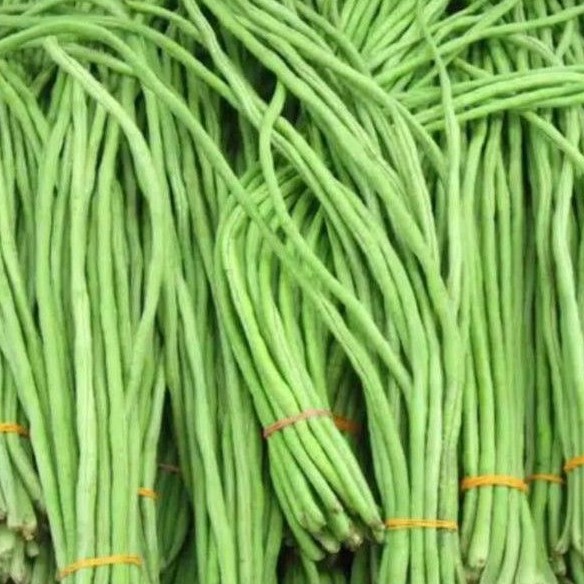 

KACANG PANJANG SEGAR ALAMI / LONG BEAN FRESH 500 GRAM / PACK