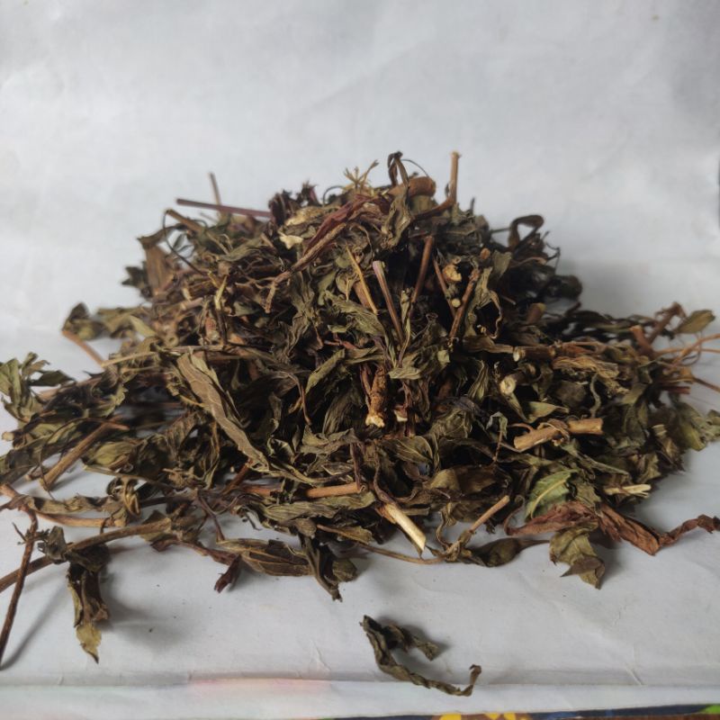 

Kumis kucing, teh daun kumis kucing kering