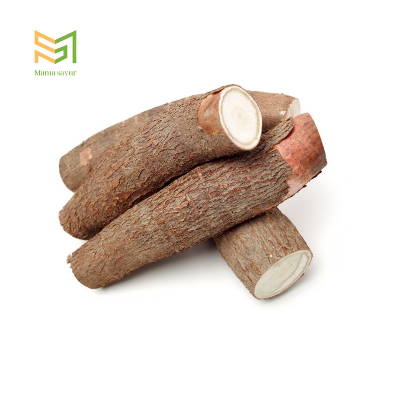 

Ubi kayu singkong segar per pack