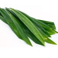 

Larismanis- Sirup Pandan / Pandan Syrup Minuman GKC Heritage 640 ml (Import Quality)