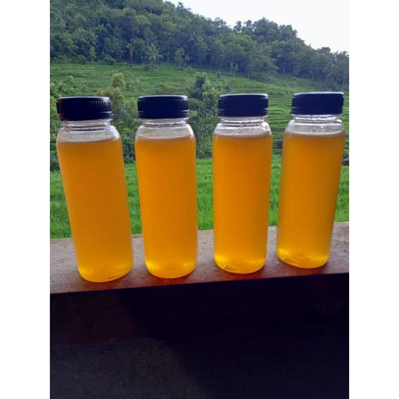 

Madu lebah kelanceng