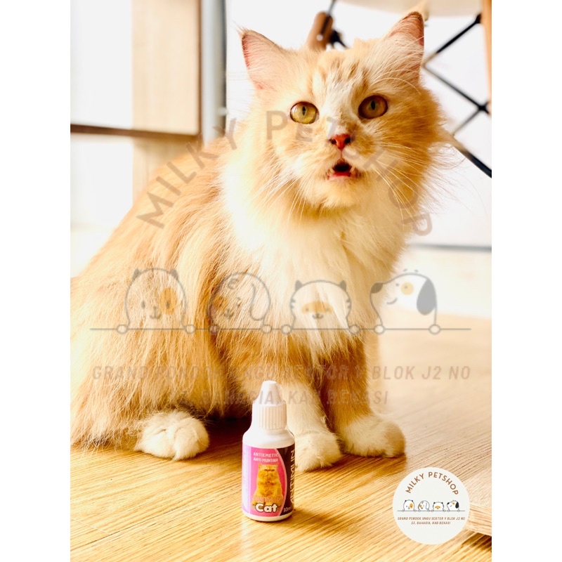 Antimun Cat Obat Muntah Mencret Kucing tetes MURAH
