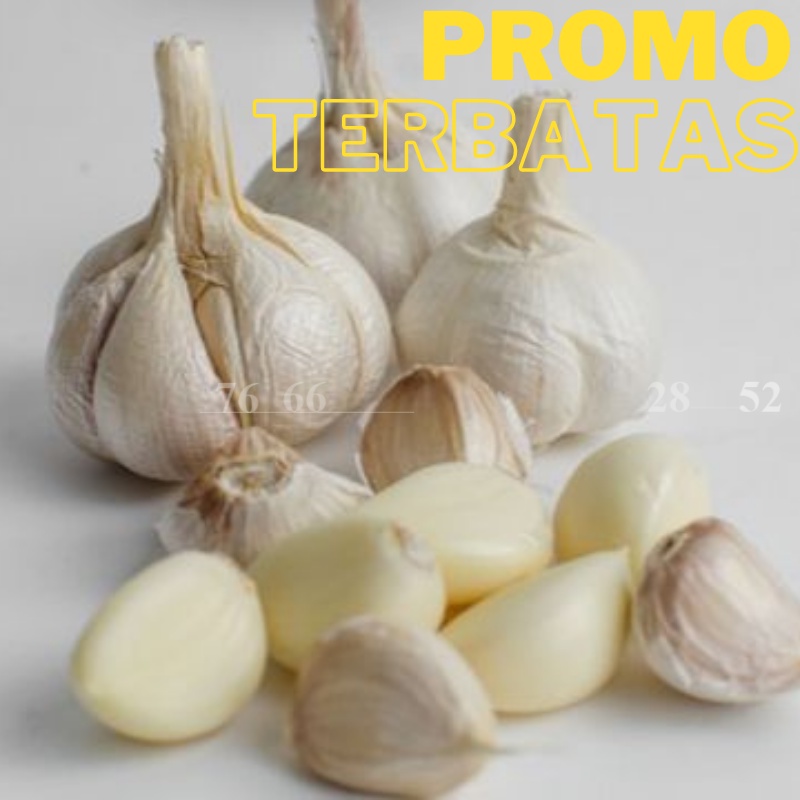 

PROMO MURAH Bawang Putih Kating 250Gr Fresh / Bukan Banci Ada 1kg 500g 250g grosir