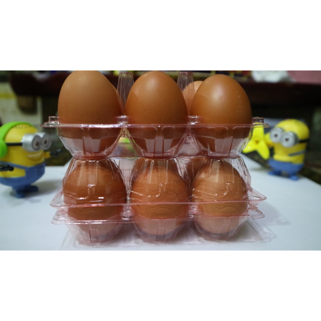 Jual Mika Telur Isi Egg Tray Tray Egg Pcs Shopee Indonesia