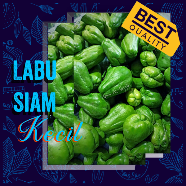 

LABU SIAM KECIL / LABU ACAR / BABY CHAYOTE Per 250 gram SAYURAN SEGAR