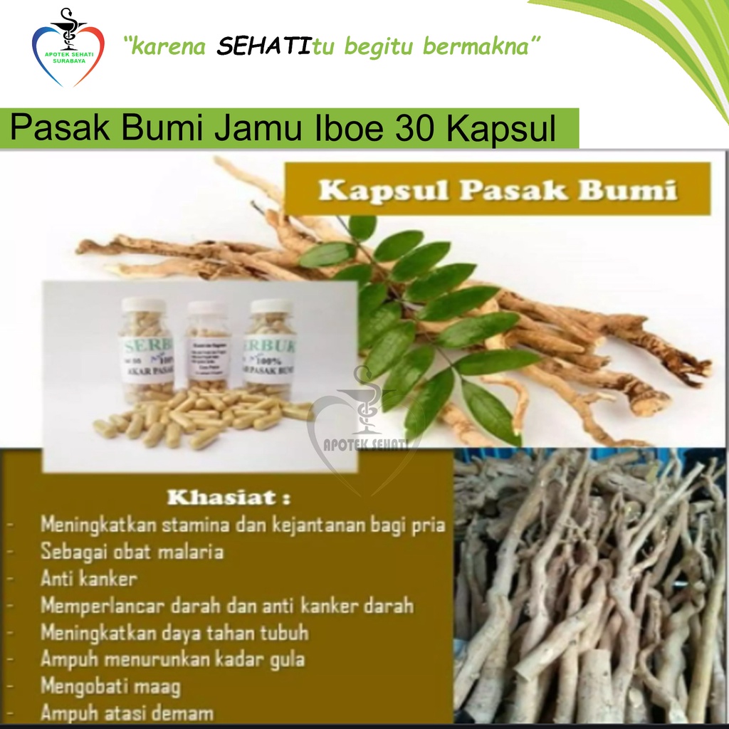 Jamu Iboe Pasak Bumi 30kap Suplemen Stamina Pria